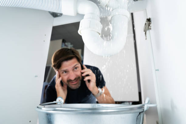 Best Clogged Drain Plumber  in Hutchins, TX
