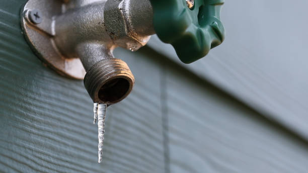 Best Affordable Plumbing Services  in Hutchins, TX